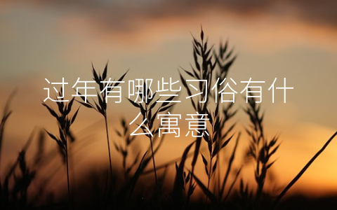 过年有哪些习俗有什么寓意