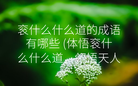 衮什么什么道的成语有哪些 (体悟衮什么什么道，领悟天人合一之道)