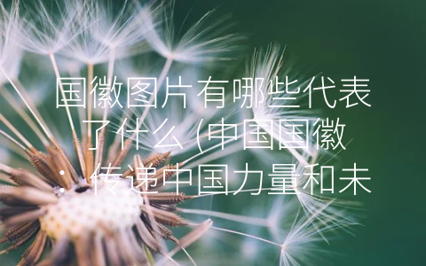 国徽图片有哪些代表了什么 (中国国徽：传递中国力量和未来的信仰)