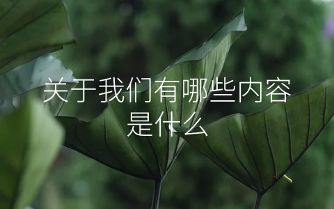 关于我们有哪些内容是什么