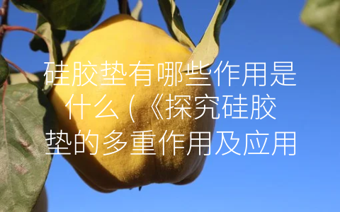 硅胶垫有哪些作用是什么 (《探究硅胶垫的多重作用及应用》)