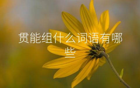 贯能组什么词语有哪些