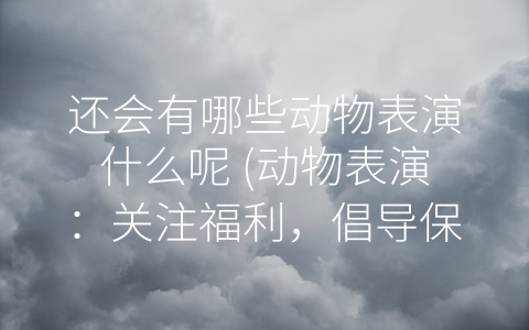 还会有哪些动物表演什么呢 (动物表演：关注福利，倡导保护)
