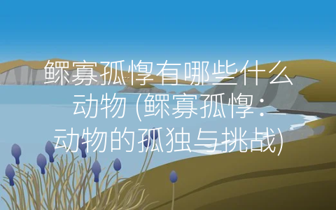 鳏寡孤惸有哪些什么动物 (鳏寡孤惸：动物的孤独与挑战)