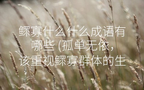 鳏寡什么什么成语有哪些 (孤单无依，该重视鳏寡群体的生存状态了！)