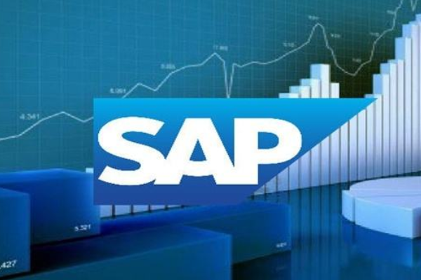 SAP是什么意思呀