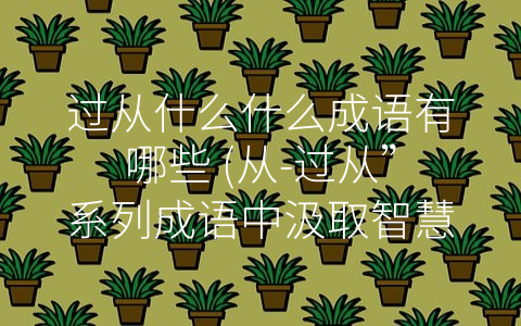 过从什么什么成语有哪些 (从-过从”系列成语中汲取智慧和力量)