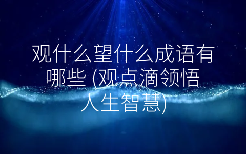 观什么望什么成语有哪些 (观点滴领悟人生智慧)