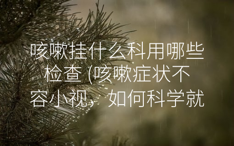 咳嗽挂什么科用哪些检查 (咳嗽症状不容小视，如何科学就诊？)