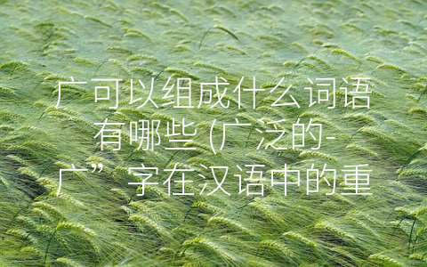 广可以组成什么词语有哪些 (广泛的-广”字在汉语中的重要地位)