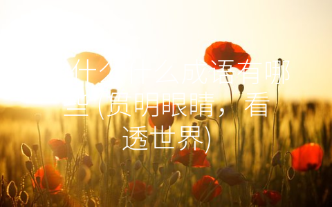 贯什么什么成语有哪些 (贯明眼睛，看透世界)