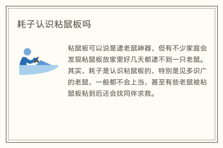 耗子认识粘鼠板吗