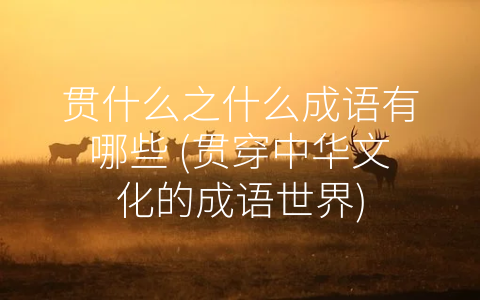 贯什么之什么成语有哪些 (贯穿中华文化的成语世界)