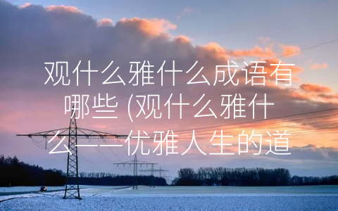 观什么雅什么成语有哪些 (观什么雅什么——优雅人生的道路)