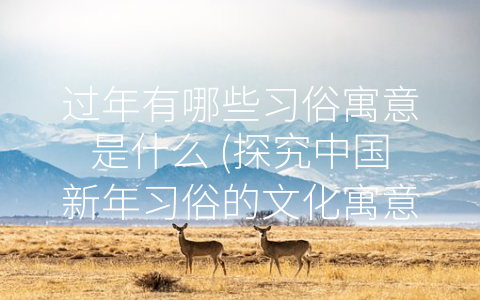 过年有哪些习俗寓意是什么 (探究中国新年习俗的文化寓意)