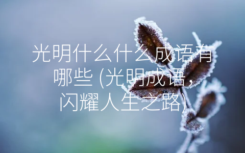 光明什么什么成语有哪些 (光明成语，闪耀人生之路)