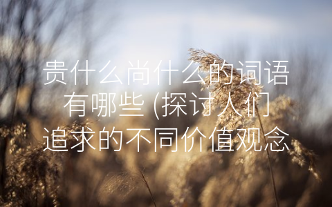 贵什么尚什么的词语有哪些 (探讨人们追求的不同价值观念)