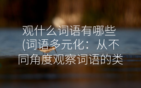 观什么词语有哪些 (词语多元化：从不同角度观察词语的类型和使用)