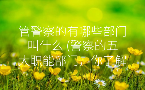管警察的有哪些部门叫什么 (警察的五大职能部门，你了解多少？)