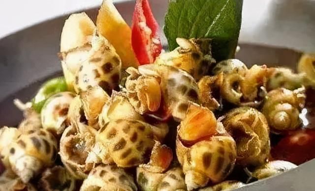 小花螺怎么做好吃窍门 小花螺的正确吃法和做法