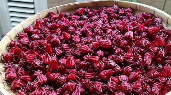 洛神花酒如何酿制 洛神花酒的正确泡制方法