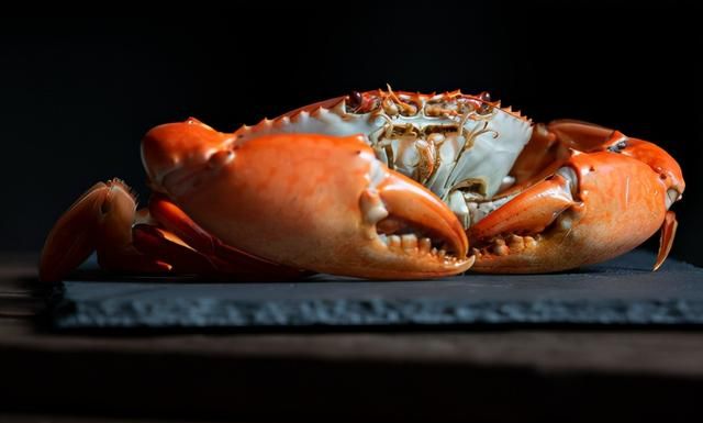 顶级黄油蟹多少钱一斤,黄油蟹900元一只图2