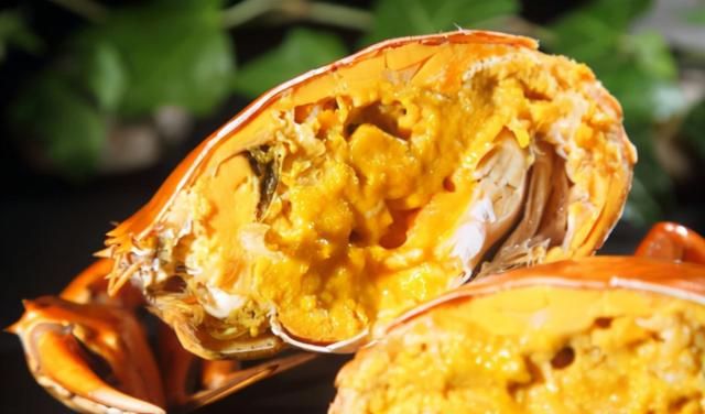 顶级黄油蟹多少钱一斤,黄油蟹900元一只图5