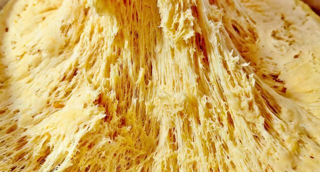 冬天发面蒸馒头怎么做 冬天用酵母发面12小时会不会坏