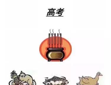 《高考特色行为》参考书有哪些图6