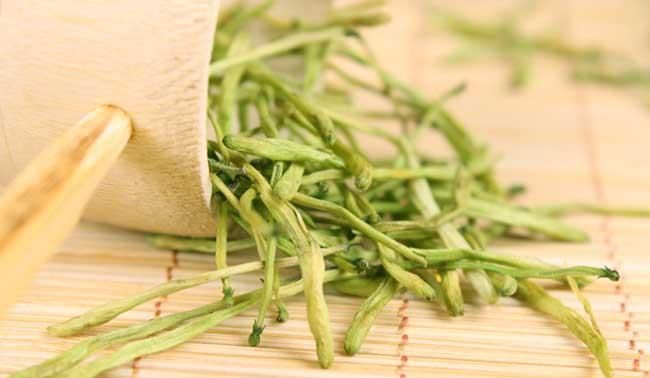 金银花泡水一次多少克为好 金银花新鲜泡水好还是晒干泡水好