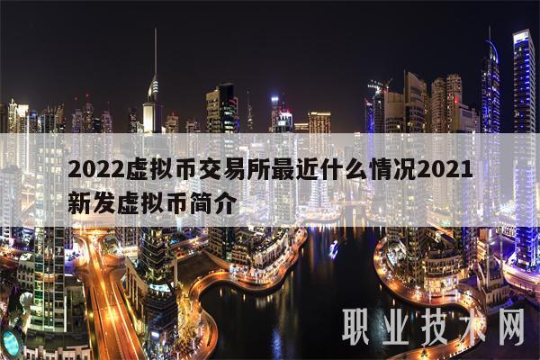 2022虚拟币交易所最近什么情况2021新发虚拟币简介