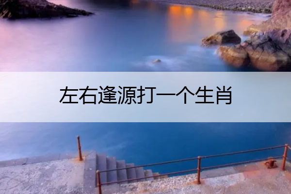 左右逢源打一个生肖 左右逢源打一生肖动物东部政法网