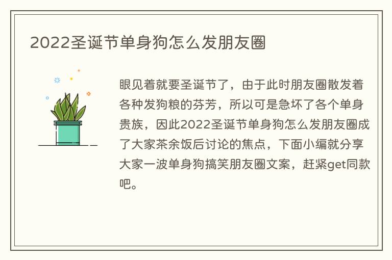 2022圣诞节单身狗怎么发朋友圈