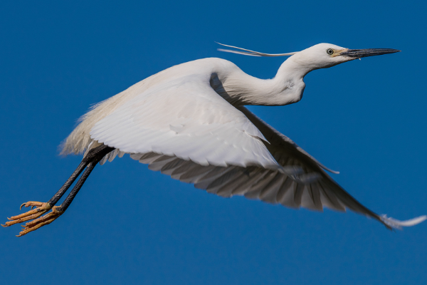 分界洲岛在哪里