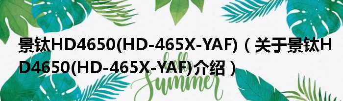 景钛HD4650 HD 465X YAF 关于景钛HD4650 HD 465X YAF介绍
