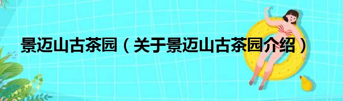 景迈山古茶园 关于景迈山古茶园介绍