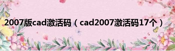 2007版cad激活码 cad2007激活码17个