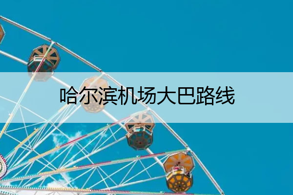 哈尔滨机场大巴路线 哈尔滨机场大巴路线查询