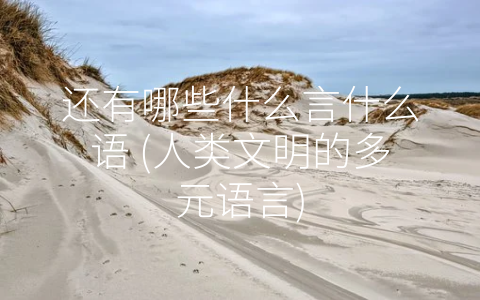 还有哪些什么言什么语 (人类文明的多元语言)
