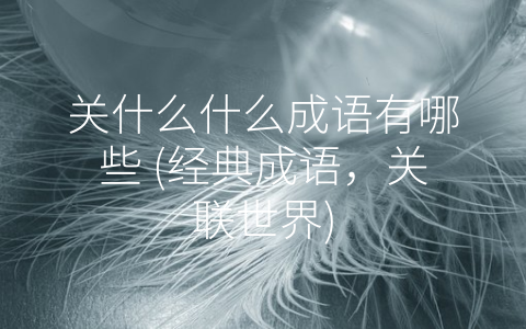 关什么什么成语有哪些 (经典成语，关联世界)
