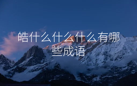 皓什么什么什么有哪些成语
