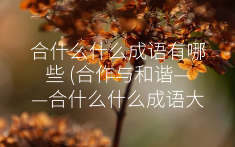 合什么什么成语有哪些 (合作与和谐——合什么什么成语大揭秘)