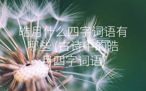 皓月什么四字词语有哪些 (古诗中的皓月四字词语)
