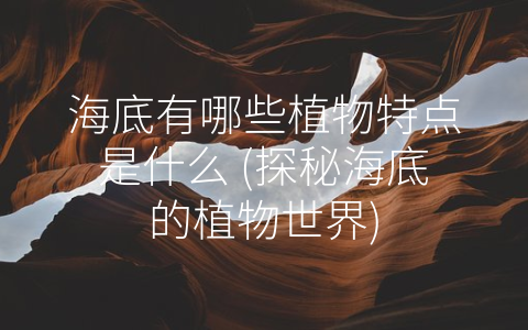 海底有哪些植物特点是什么 (探秘海底的植物世界)