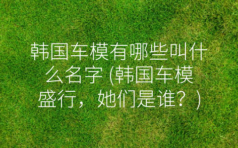 韩国车模有哪些叫什么名字 (韩国车模盛行，她们是谁？)