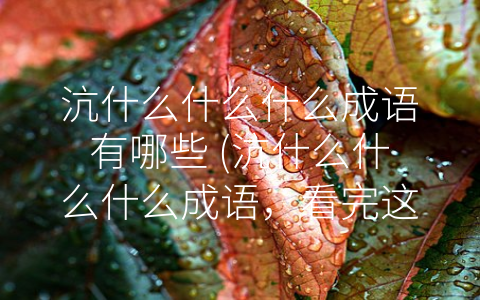 沆什么什么什么成语有哪些 (沆什么什么什么成语，看完这篇文章，你就应该知道了！)