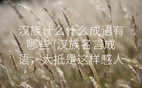 汉族什么什么成语有哪些 (汉族名言成语，大抵是这样感人。)