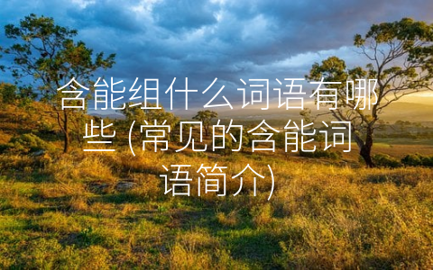 含能组什么词语有哪些 (常见的含能词语简介)