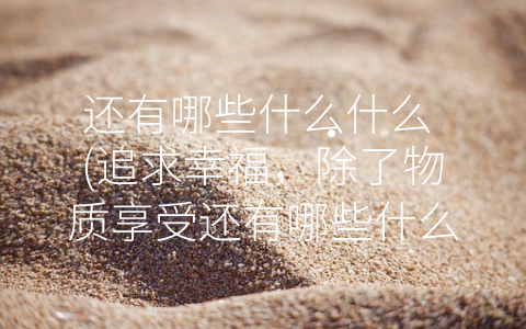 还有哪些什么什么 (追求幸福，除了物质享受还有哪些什么什么？)