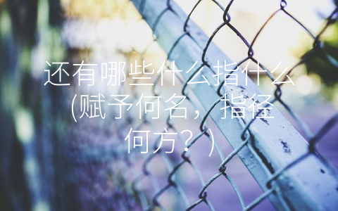 还有哪些什么指什么 (赋予何名，指径何方？)